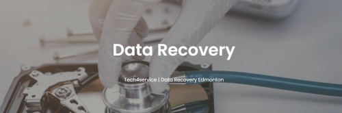 Tech4Service Ltd offers data recovery services in Edmonton. We recover data from hard drives and USB data with faulty read-write heads at the best price.

https://tech4service.ca/data-recovery/