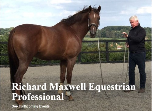 Richard Maxwell is an equestrian professional, an expert in equine behaviour whose training can help you with loading issues, napping, bucking etc. Online training videos are available as well as bodwork and hypnotherapy.

https://www.richard-maxwell.com/