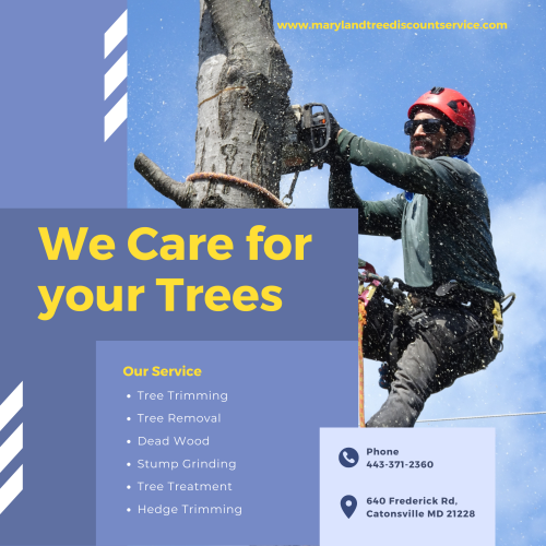 Tree service Towson. We are the premier Maryland tree service company that provides all aspects of tree care in Fallston, MD and surrounding area. We provide accurate, realistic, and reasonable estimates.

http://marylandtreediscountservice.com/towson/