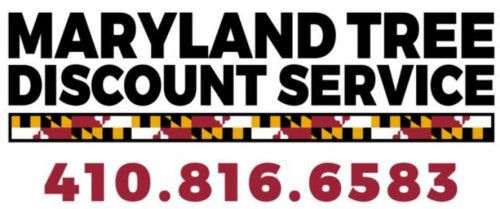 Maryland tree service company provides all aspects of tree care in Tree Service Catonsville, Linthicum Heights, Halethorpe, Arbutus, Windsor Mill, Milford Mill, Randallstown, Reisterstown, Garrison, Gwynn Oak and Lochearn.

http://marylandtreediscountservice.com/