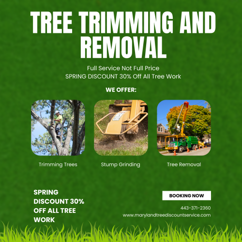 Maryland tree service company provides all aspects of tree care in Tree Service Catonsville, Linthicum Heights, Halethorpe, Arbutus, Windsor Mill, Milford Mill, Randallstown, Reisterstown, Garrison, Gwynn Oak and Lochearn.

http://marylandtreediscountservice.com/