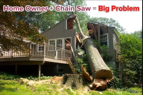 BaltimoreTreeDiscountService.com offers comprehensive tree care solutions in Baltimore and throughout Maryland. From expert tree removal and trimming to landscaping services

Read More: https://baltimoretreediscountservice.com/
