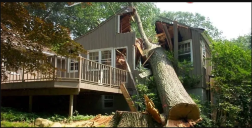 BaltimoreTreeDiscountService.com offers prompt and professional emergency tree services. Our skilled team is here to handle urgent tree removal and care needs.

Read More:  https://baltimoretreediscountservice.com/emergency-tree-service