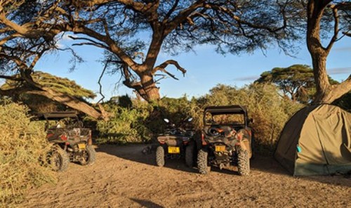 Be it circling majestic Mt. Kilimanjaro or riding alongside grand wildlife, our guides excel in exceeding expectations, ensuring your journey is nothing but right.

https://motomoto.tz/quadbike-buggy-tours/