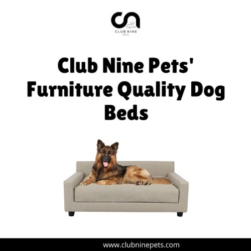 Treat your furry friend to luxury with our designer dog beds, blending style and comfort seamlessly. Discover our exclusive collection at Club Nine Pets.

https://www.clubninepets.com/where-to-buy