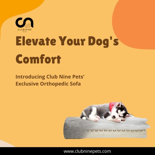 Discover orthopedic dog sofa beds and ergonomic pet beds at Club Nine Pets, designed for ultimate comfort and support for your furry friend. Explore our range of premium pet furniture

https://www.clubninepets.com/shop