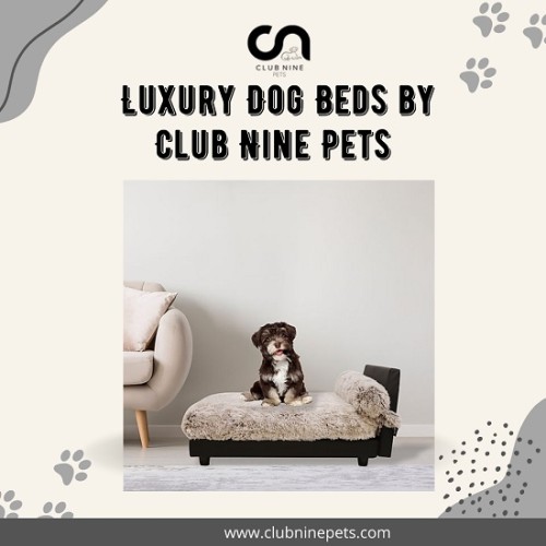 Elevate your pet's comfort with our elevated dog beds and modern pet furniture collection at Club Nine Pets. Explore our range of stylish and functional designs at clubninepets.com

https://www.clubninepets.com/mid-century-elevated-dog-beds