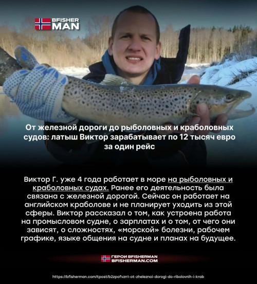 bfishg_751634.jpg