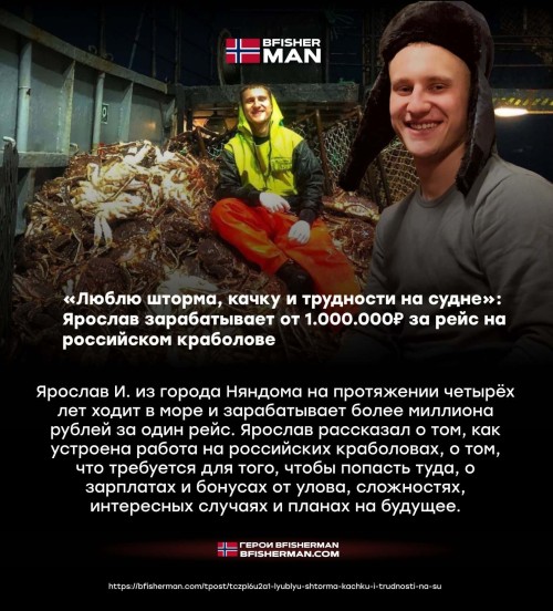 bfishg_811567.jpg